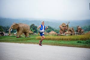 BIB: 
                            <button type="button" onclick="openModal(22405851)" class="btn btn-primary btn-sm float-right btn-popup" data-toggle="modal" data-target=".modal-high-quality">
                        <i class="fas fa-shopping-cart"></i> Add to Cart
                    </button>
                                            <button type="button" onclick="isThisMe(22405851, true)" class="btn btn-success btn-sm float-right btn-popup btn-isme hidden" data-toggle="tooltip" data-placement="bottom" title="นี่คือรูปของคุณใช่ไหม คลิกที่นี่เพื่อเอาเข้าอัลบั้ม">
                        <i class="fas fa-plus"></i> Add to album
                    </button>
                    <button type="button" onclick="isThisMe(22405851, false)" class="btn btn-warning btn-sm float-right btn-popup btn-isnotme hidden">
                        <i class="fas fa-ban"></i> Remove from album
                    </button>